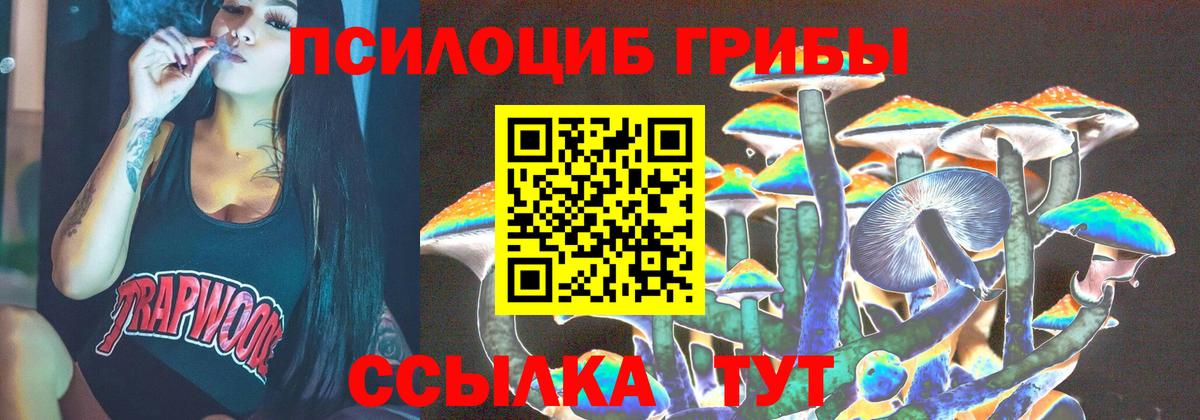 Псилоцибиновые грибы Cubensis Златоуст